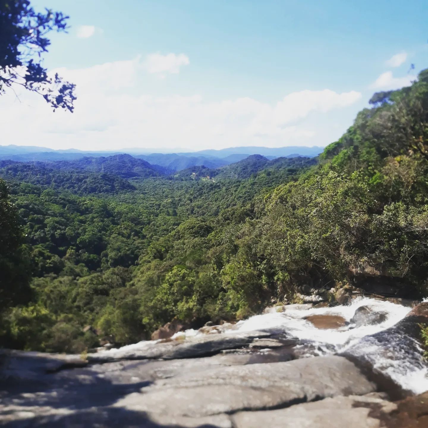 FAZENDA MORRO DOS PERDIDOS