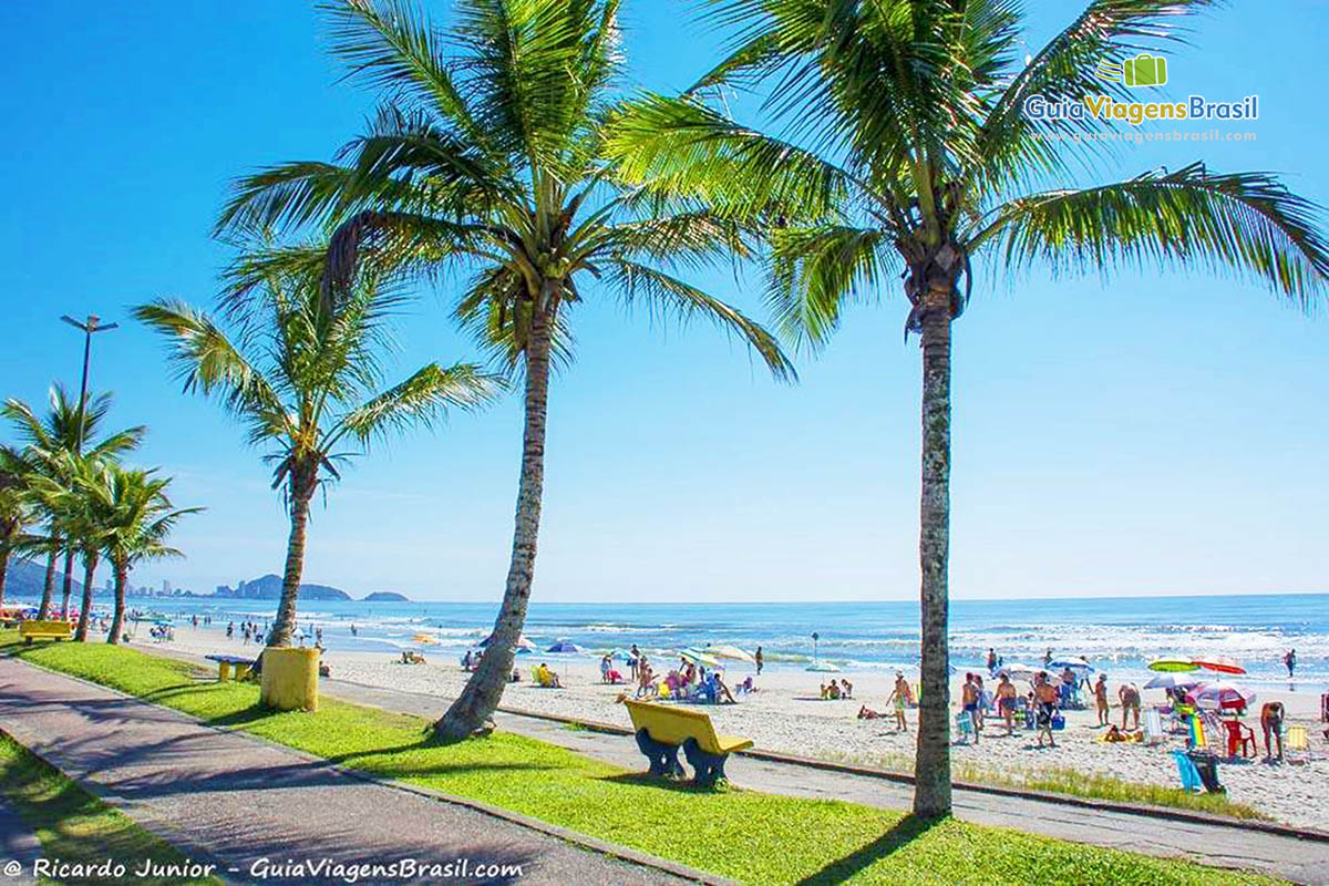 PRAIA CENTRAL