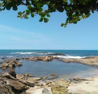 ILHA DO SAÍ-GUAÇU